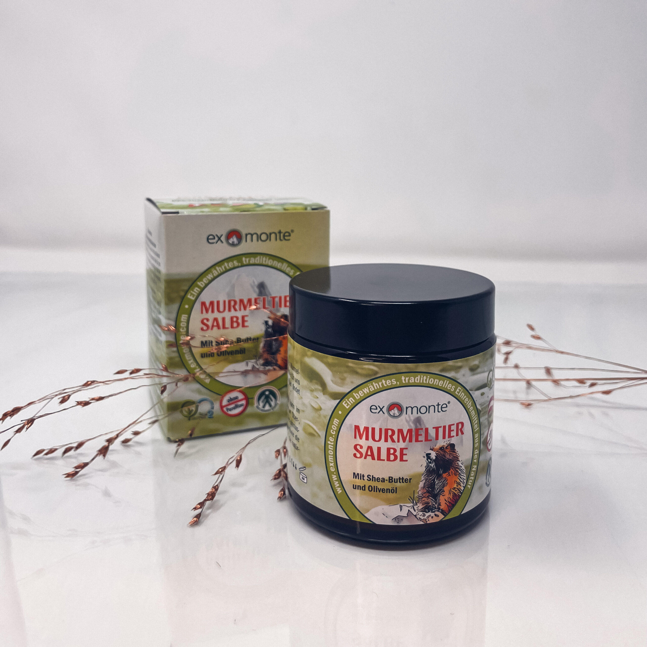 Man sieht eine Murmeltiersalbe.