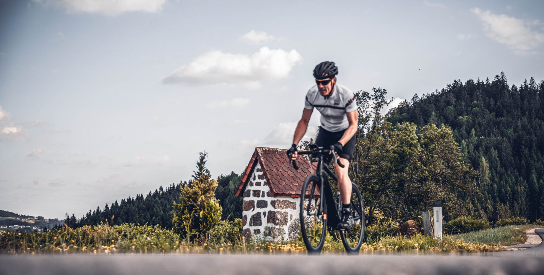 Ein Rennradfahrer am Fahren, im Hintergrund Wald und Weg