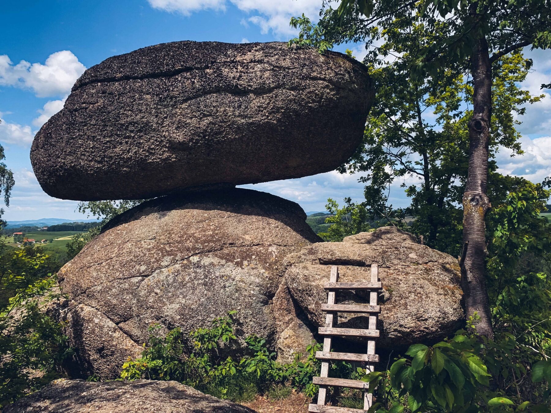 Man sieht den Stein Schwammerling am Stoakraftweg.